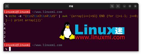 掌握Linux命令行启动进程的全攻略与实用技巧