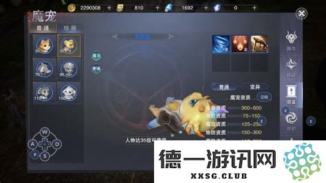 新神魔大陆血魔带什么魔宠