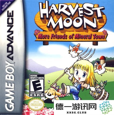 牧场物语矿石镇女孩版