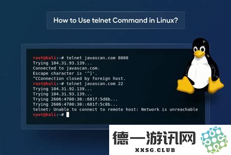 深入探讨cmd命令中telnet的使用方法与技巧