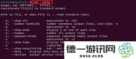 在Linux操作系统中执行程序命令的详细步骤与解析指南