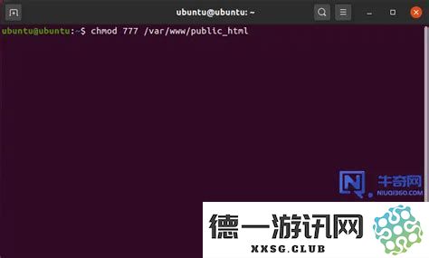 详细解析如何利用chmod命令为特定用户设置目录权限为777的步骤与注意事项