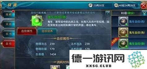 御龙在天国战全攻略：血纹融合技巧与战力提升的有效策略分析