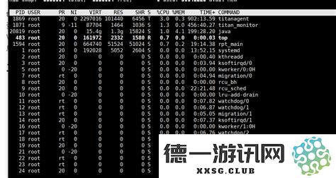 深入解析Linux系统中的stop命令与linuxtop命令的使用技巧与功能详解
