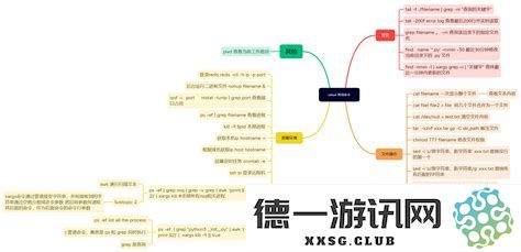 深入探讨Linux基本命令，提供详细实例及应用场景分析