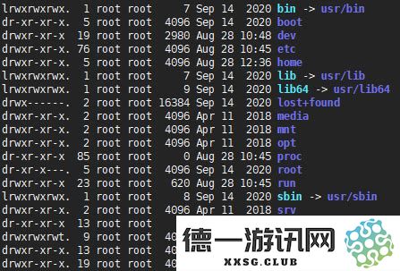 全面探讨Linux操作系统中的基本命令及其常用技巧，助你轻松掌握Linux基本命令