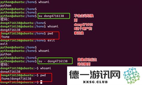 UNIX与Linux系统的比较分析，探讨两者之间的代码差异和主要区别是否显著