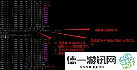 迅速掌握Linux命令行操作：便捷进入特定目录的实用技巧分享
