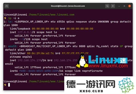如何在Linux操作系统中快速查看本机IP地址的方法，以及相关命令的详细介绍