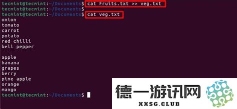 在Linux操作系统中如何有效地开启22端口的全面步骤与命令解析