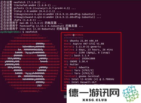 探索Linux操作系统版本的检测方法与常用命令位置详细解析