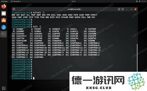 在Linux系统中使用killall命令有效终止指定进程的详细指南