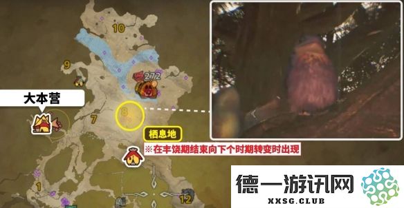 在怪物猎人荒野中，美声歌鸮具体位置及寻找攻略详解