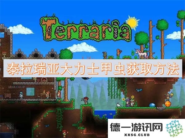 如何在泰拉瑞亚中获取大力士甲虫的详细指南和技巧