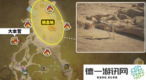 在《怪物猎人：荒野》中黑风切龙的具体位置和捕捉攻略