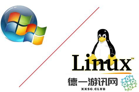 在Linux环境下开发的Windows程序是否能在Windows上运行？