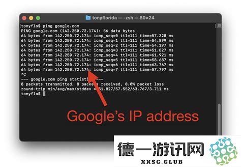 电脑操作系统中cmd命令的全面指南以及ping命令的完整使用技巧